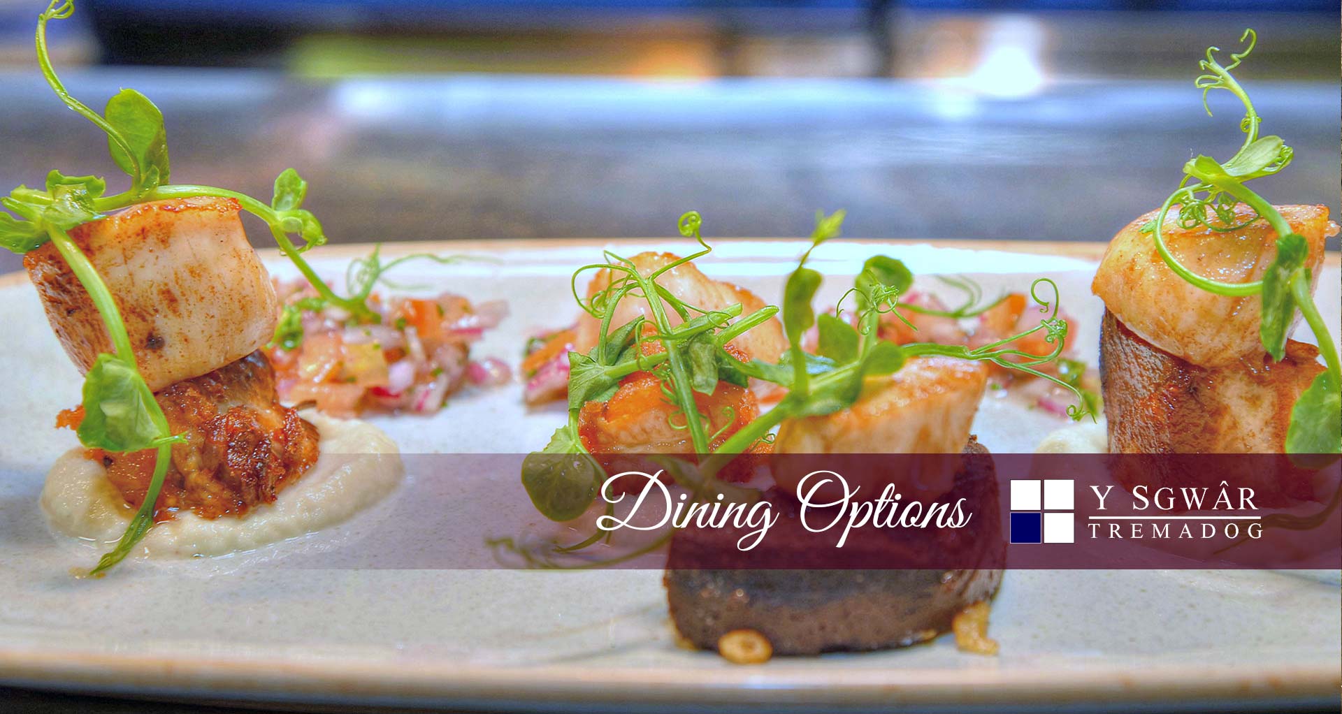 Plas Tan Yr-Allt Dining Options header featuring our number 1 recommended restaurant Y Sgwar in the village of Tremadog - At Plas Tan-Yr-Allt - 5-Star luxury, literary & historic Country House B&B in Tremadog, Porthmadog, Snowdonia.