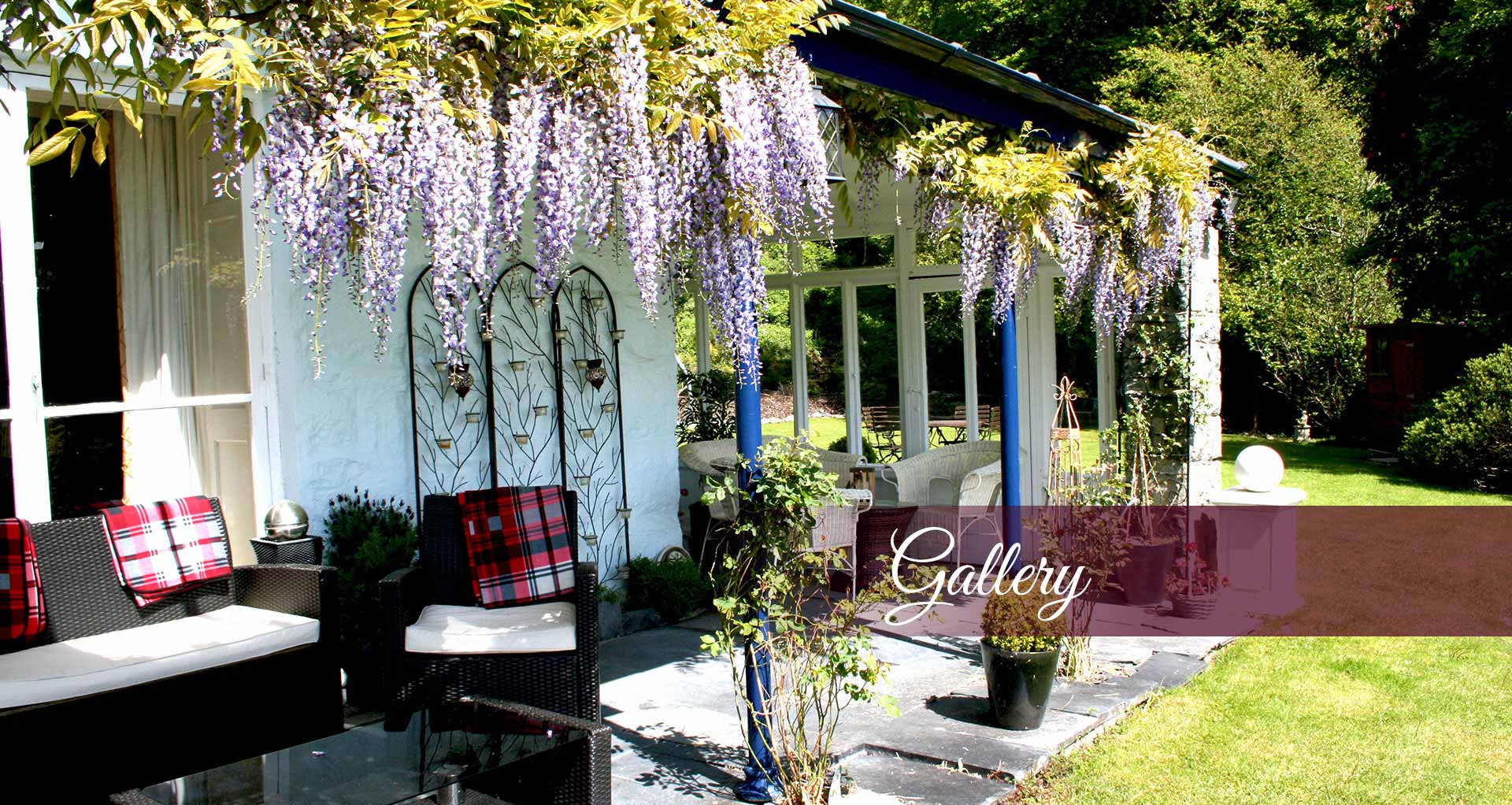 Plas Tan Yr-Allt Gallery Banner showing beautiful flowering purple wisteria on the veranda - At Plas Tan-Yr-Allt - 5-Star luxury, literary & historic Country House B&B in Tremadog, Porthmadog, Snowdonia.